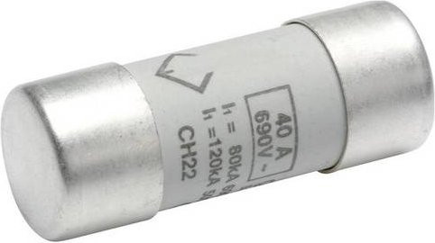 Hager LF540G Feinsicherung Silber, 10 Stück, Durchmesser: 22 mm, Länge: 58 mm - Bild 1