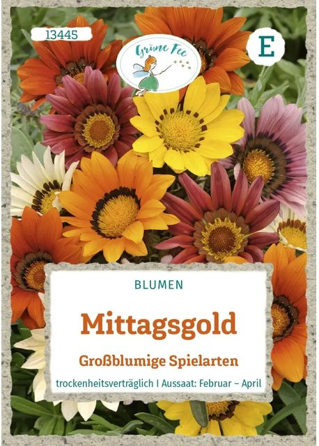 Grüne Fee Mittagsgold Saatgut für großblumige Blumenarten - Bild 1
