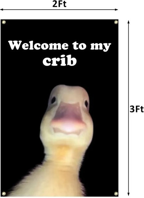 Lustiger Wandteppich mit Enten-Meme Welcome to My Crib Banner für deine College-Schlafsaal-Dekoration, Breite: 60,96 cm, Höhe: 60,96 cm - Bild 1