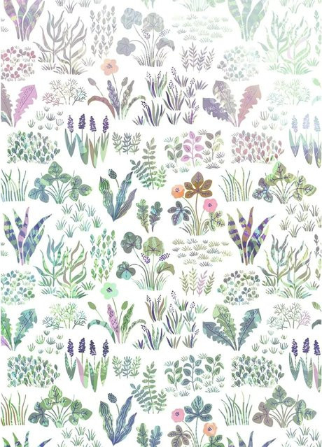 Sanders & Sanders Fototapete Wildblumen Multicolor Vliestapete B: 200 cm, H: 280 cm - Bild 1