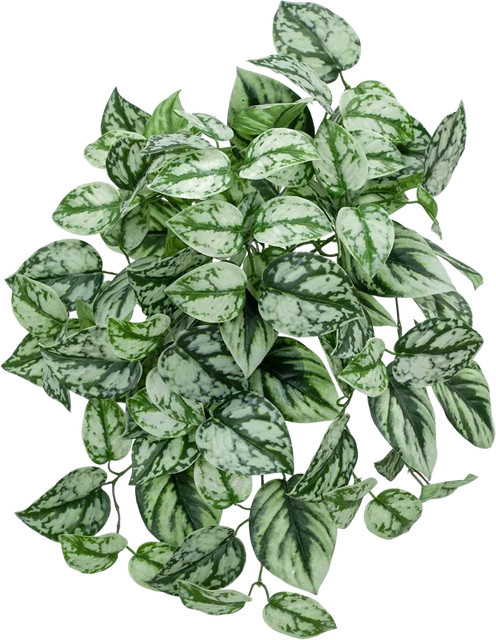 Künstliche Hängepflanze Scindapsus von Aplanta, Grün, Höhe: 40 cm - Bild 1