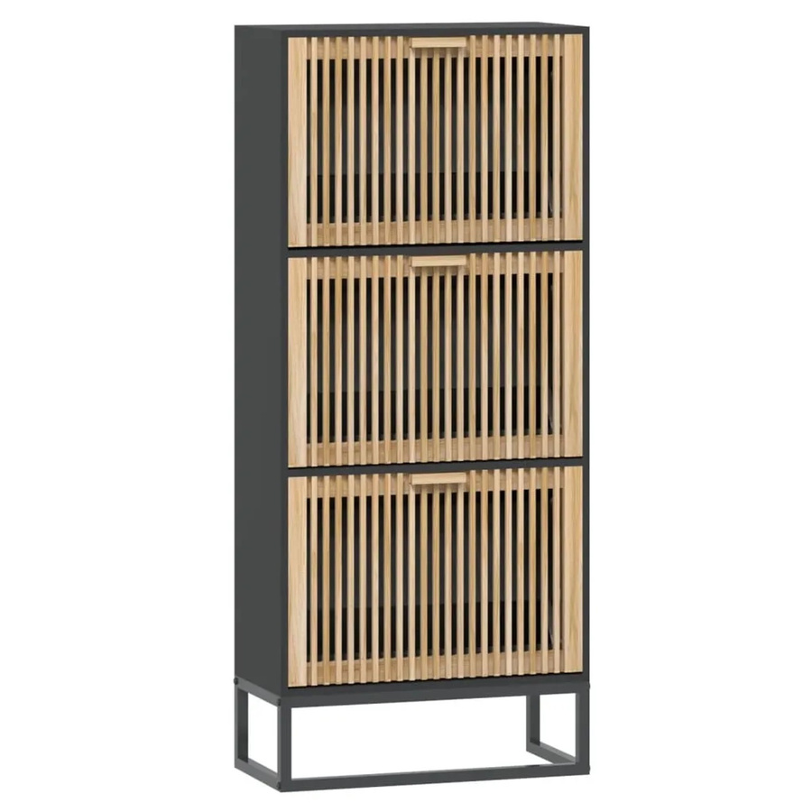 vidaXL Schuhschrank Schwarz aus Holzwerkstoff B: 52 cm, T: 25 cm, H: 120 cm - Bild 2