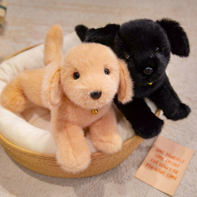pangcangshu Labrador Hund Plüschtier, Golden Retriever, Puppe - Bild 1
