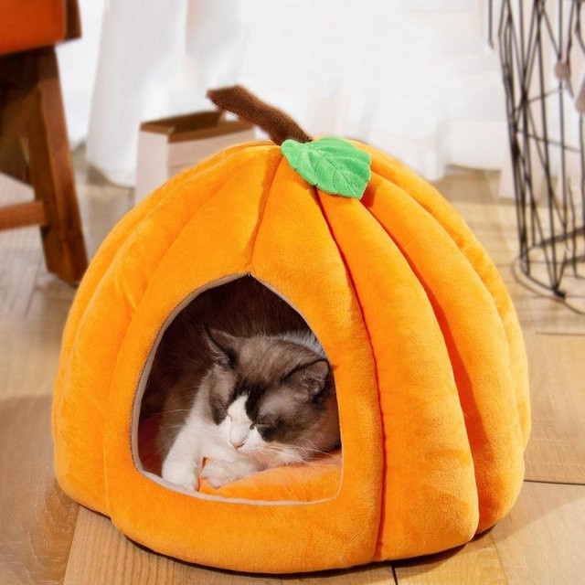Faltbares Katzenhaus und Hundehöhle in Kürbisform in Orange, warmes und weiches Nest für kleine Hunde und Katzen - Bild 1