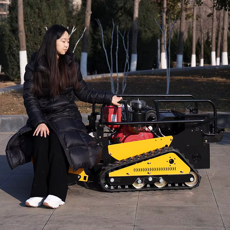 TONGZHONG AWY-800 Schlegelmäher mit 850W bürstenlosem Motor in Gelb - Bild 2