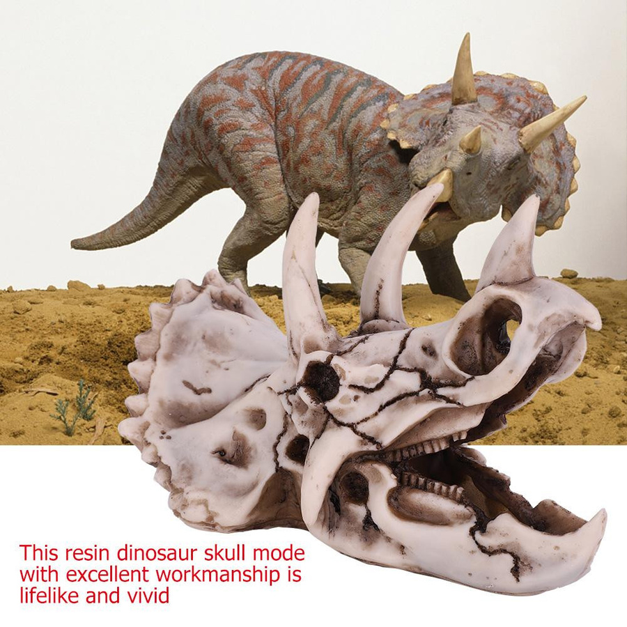 mfySpace Triceratops Schädel Modell aus Harz als dekoratives Dinosaurier Skelett für Heim und Büro - Bild 3
