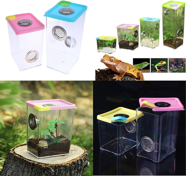 Transparente Zuchtbox aus Acryl für Reptilien, Spinnen, Eidechsen und Insekten - Bild 1
