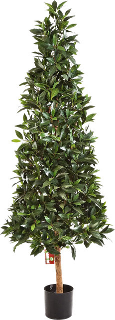 Künstlicher Lorbeerbaum Teresa von artplants, grün, Höhe: 170 cm - Bild 1