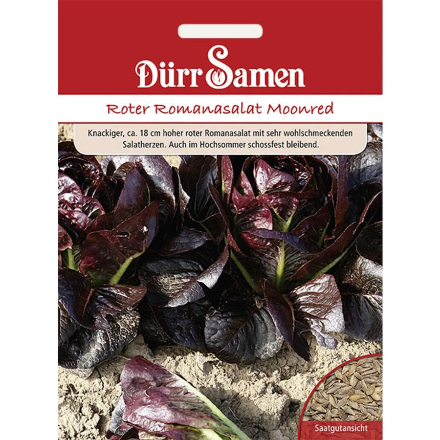 Dürr Romana-Salat Moonred Saatgut 100 g - Bild 2