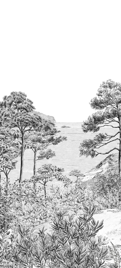 Isidore Leroy Tapete Euskadi Grisaille Panel D in Grau mit Vintage-Motiv, B/H: 150 x 330 cm - Bild 1