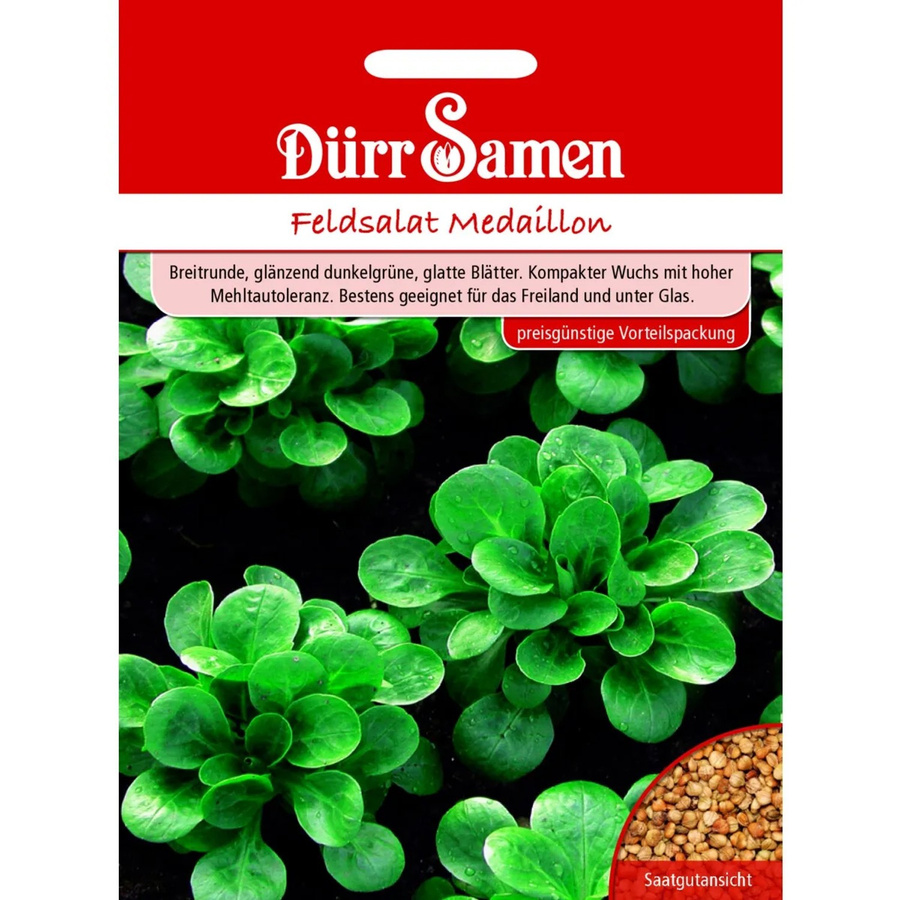 Dürr Feldsalat Medaillon Saatgut für Sommer und Herbst 155 g - Bild 2