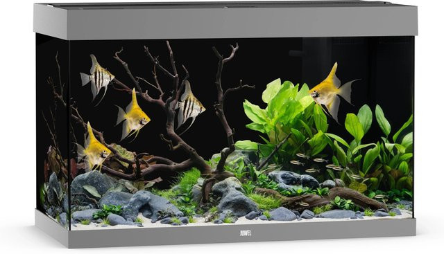 Juwel Aquarium Rio 290 LED Grau - Bild 1