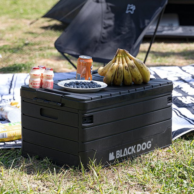 Blackdog Faltbare Aufbewahrungsbox aus Kunststoff für Outdoor und Camping, Schwarz, Volumen: 60 l - Bild 1