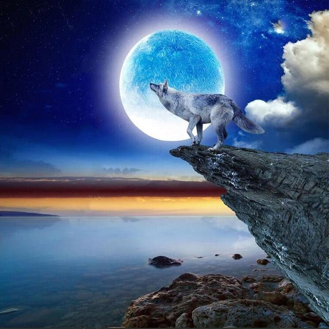 FIYO 5D DIY Diamantmalerei Wolf unter dem Mond Licht Stickerei Kreuzstich in Blau, Breite: 30 cm, Höhe: 30 cm - Bild 1