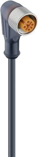 Lumberg Automation 11478-1 Sensor-Aktor-Steckverbinder M12 Buchse gewinkelt, 4-polig, schwarz, Länge: 5,00 m - Bild 1