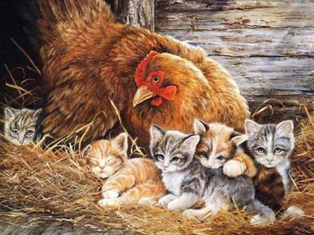 FIYO Diamant-Stickerei Wandbild Mama Huhn und Baby Kätzchen, mehrfarbig, B/H: 30 x 20 cm - Bild 1