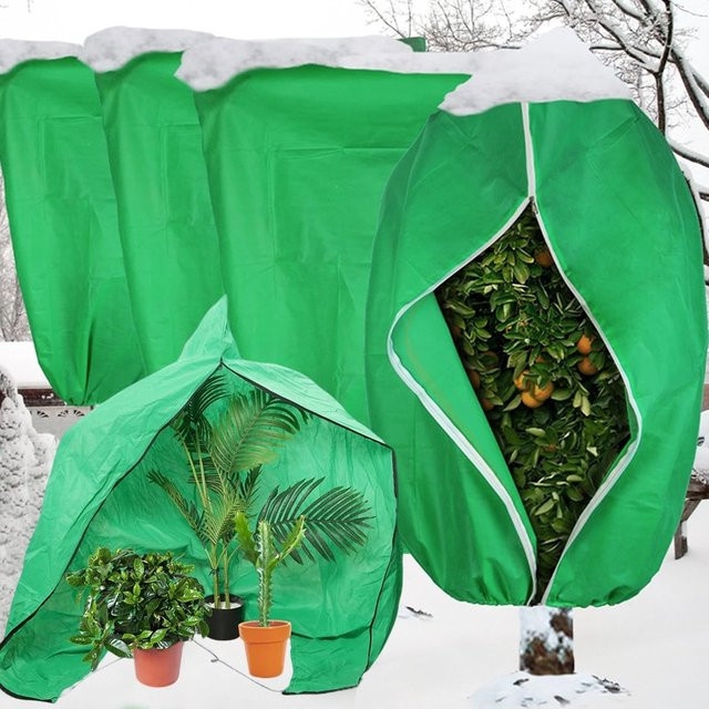 Winter-Pflanzenabdeckung aus Vliesstoff als Frostschutzbeutel für Gartenpflanzen und Sträucher in Weiß und Grün - Bild 1