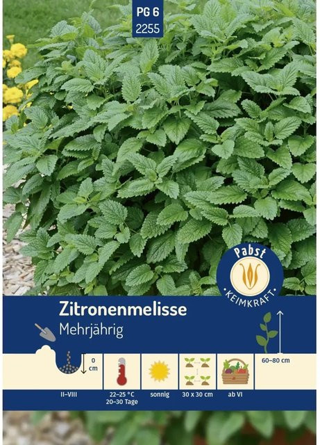 Pabst Keimkraft Zitronenmelisse Saatgut für Heilkräuter und Würzpflanzen - Bild 1