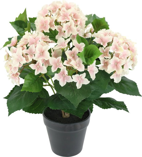 Kunstblume Hortensie im Topf von MODERNE HAUSFRAU in Rosa und Pink - Bild 1