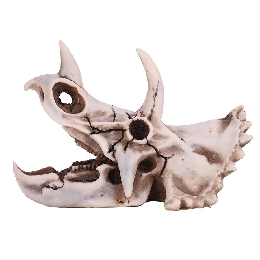 mfySpace Triceratops Schädel Modell aus Harz als dekoratives Dinosaurier Skelett für Heim und Büro - Bild 2