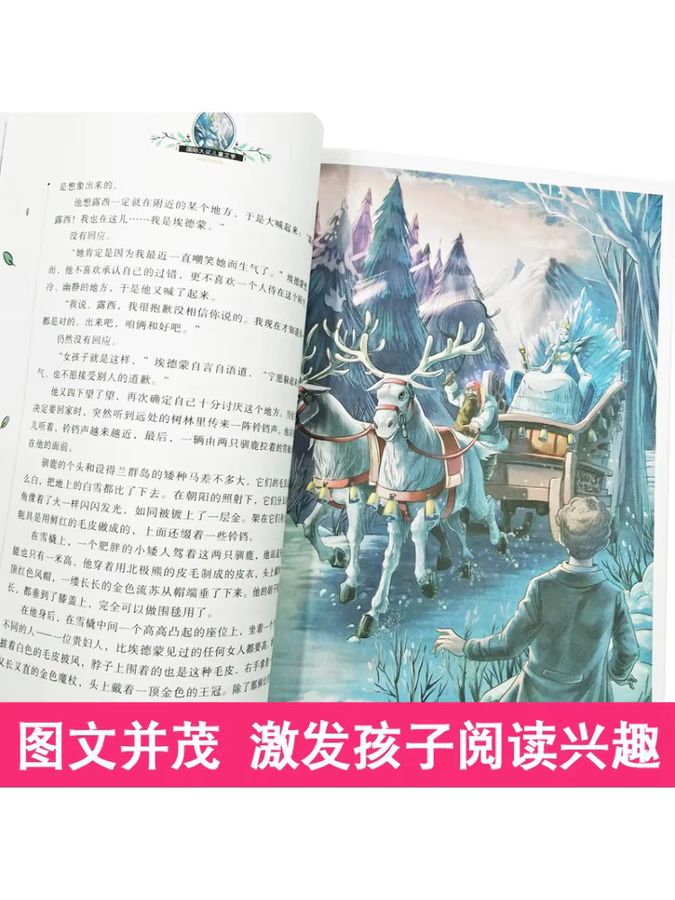 Winshare The Legend Of Aniya Lion Witch and Magic Garderobe Painted Collector's Edition Buch - Bild 3