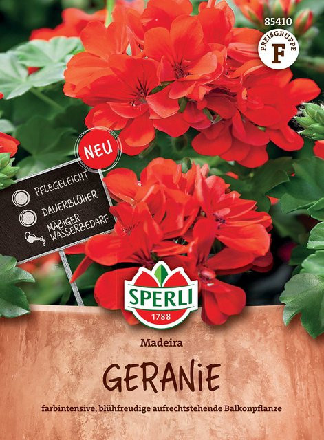 SPERLI Geranien-Samen Madeira in Rot - Bild 1