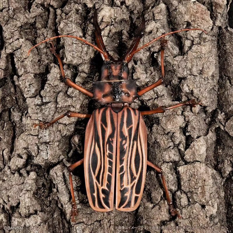 Bandai Biological Encyclopedia Longhorn Beetles Gashapon Set - Bild 2