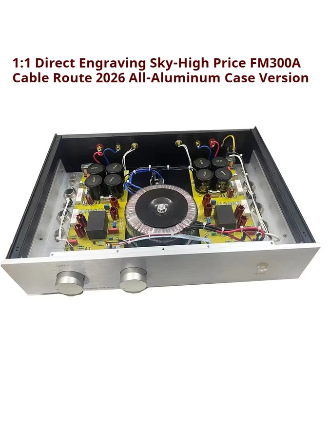 CHUBAN Hochleistungs-Leistungsverstärker FM300A mit 80W*2 in Silber für Regal- und Standlautsprecher - Bild 2