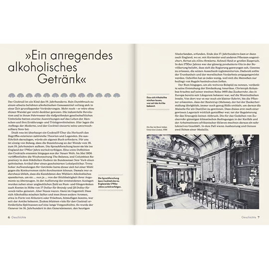 Cocktails in Berlin. Geschichte - Bars - Rezepte von Michael C. Bienert, Gebundene Ausgabe - Bild 2