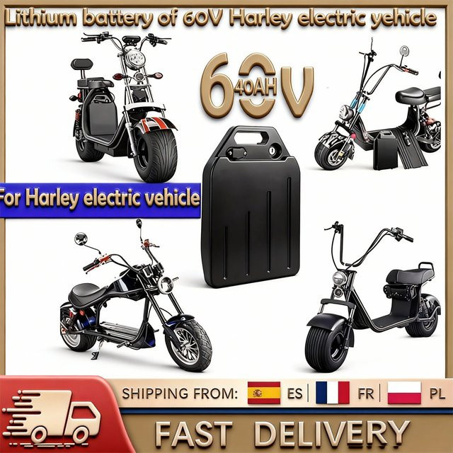 Wiederaufladbarer 60V Lithium-Ionen-Akku mit 18650 Zellen in Schwarz für Harley Citycoco Motorrad - Bild 1