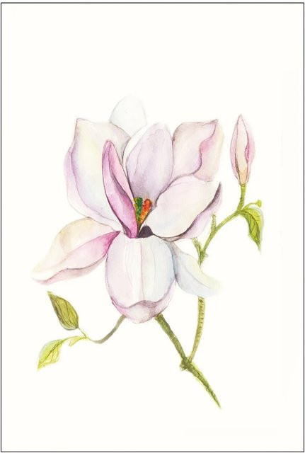 Komar Wandbild Magnolia Shine Multicolor B: 30 cm, H: 40 cm - Bild 1