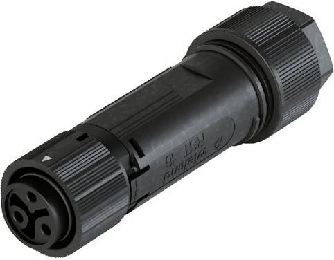 Wieland Electric 46.031.4453.1 Steckverbinder in Schwarz - Bild 1