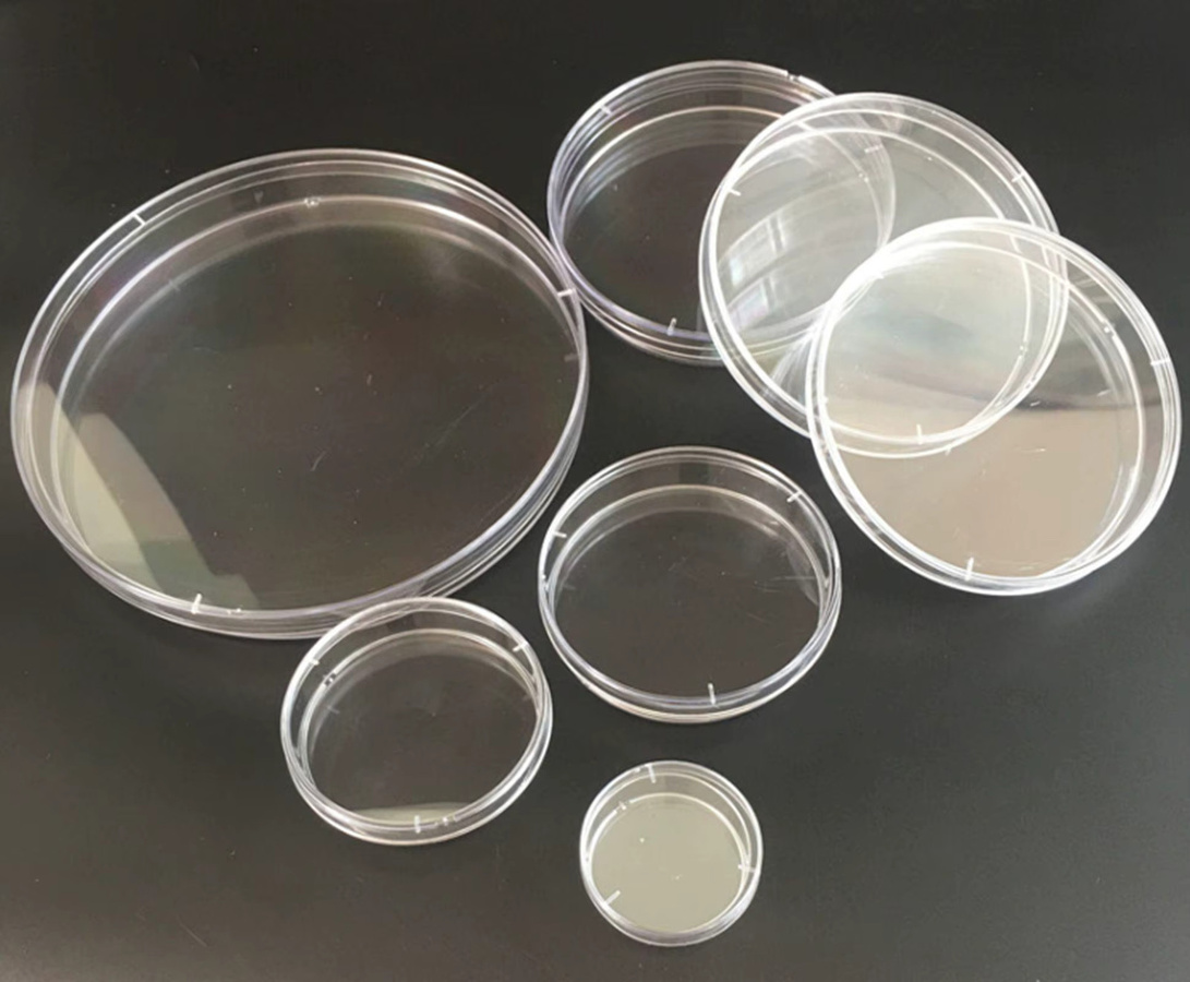 10er Pack Polystyrol-Petrischalen aus Kunststoff, versiegelte Einweg-Kulturschalen, transparent - Bild 2