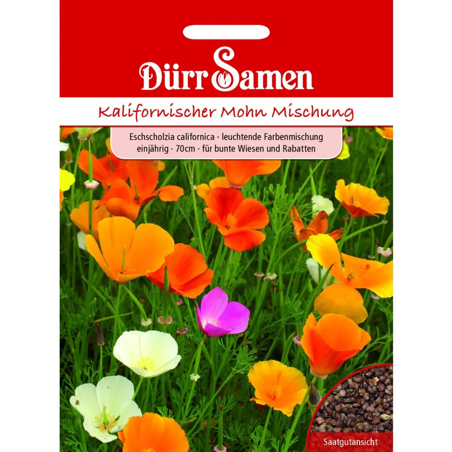 Dürr Kalifornischer Mohn Saatgut Leuchtende Farbmischung Einjährig - Bild 2