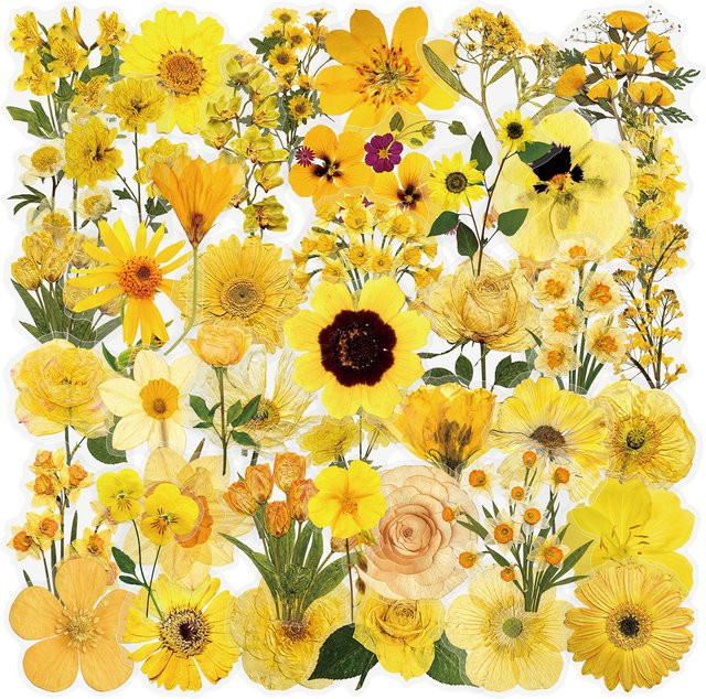 50 oder 100 Stück transparente gelbe Blumen-Aufkleber aus PET für Notizbücher, Gepäck und Handys, wasserfeste Sticker - Bild 1