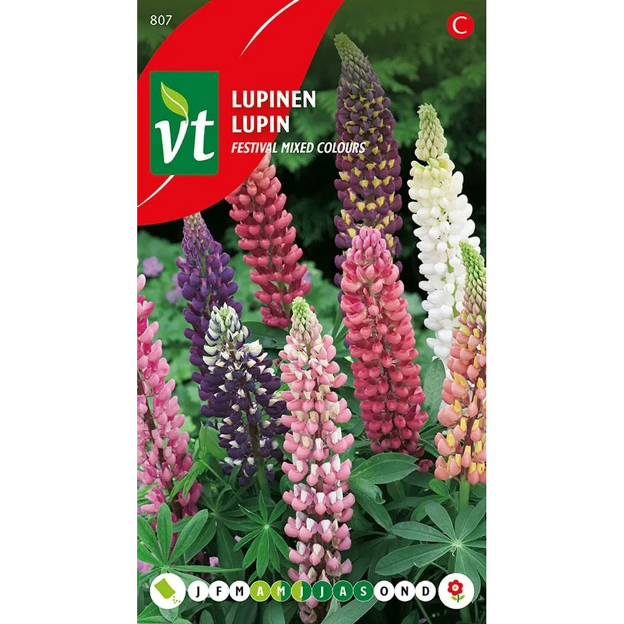 Arborix Lupine Mischung Samen für bunte Blüten, ca. 1 g - Bild 2