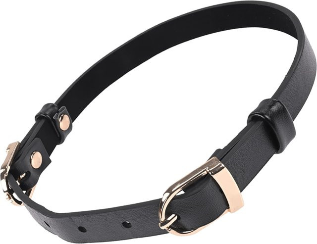 Sportsheets Double Buckle Day Collar - Bild 1