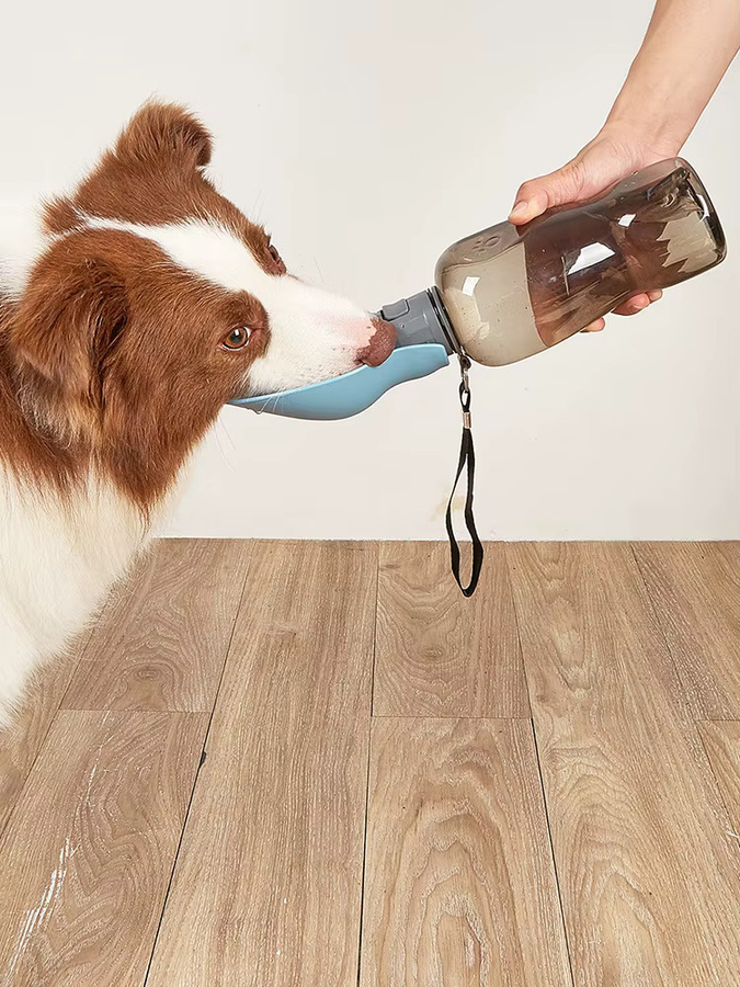 Holapet Faltbare Haustier-Wasserflasche für Hunde und Katzen in Blau - Bild 5