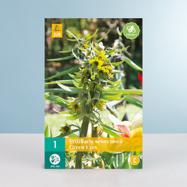 Kaiserkrone Green Eyes Zwiebel für dein Staudenbeet, Balkon oder Blumenkübel - Bild 1