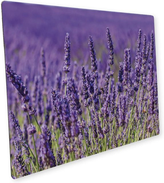 Myspotti Mini-Spritzschutzplatte Lavendel B: 59 cm, T: 41 cm - Bild 1
