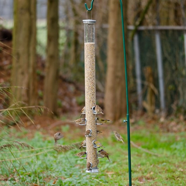 CJ Wildlife Riesenfuttersäule aus Metall in Silber und Transparent, Höhe: 123 cm - Bild 1