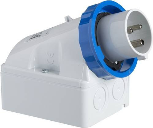 Schneider Electric CEE Wandstecker 32A 250V IP67 in Weiß - Bild 1