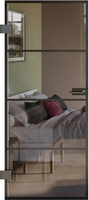 Skyscope Portal Drehtür-Set Slimwork Typ 9 in Schwarz und Transparent aus Aluminium und Glas, B: 95,9 cm, H: 197,2 cm - Bild 1