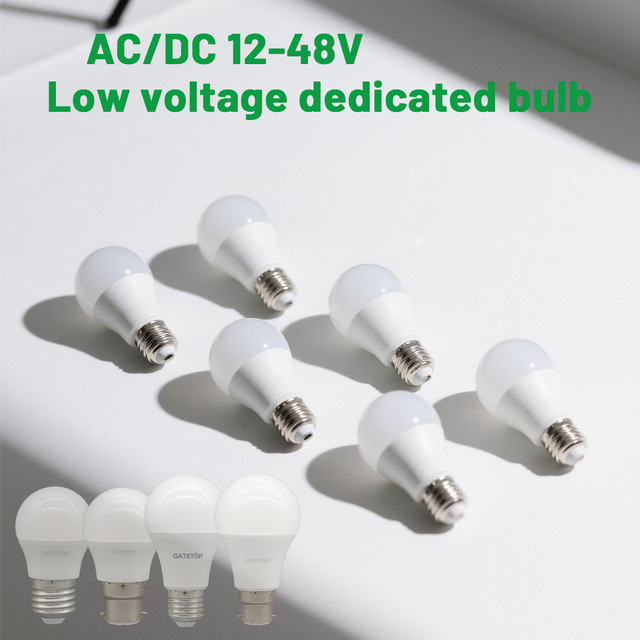 Gatetop LED Birne A60 G45 Niederspannung Warmweiß 10W AC DC 12V 24V 36V 48V - Bild 1