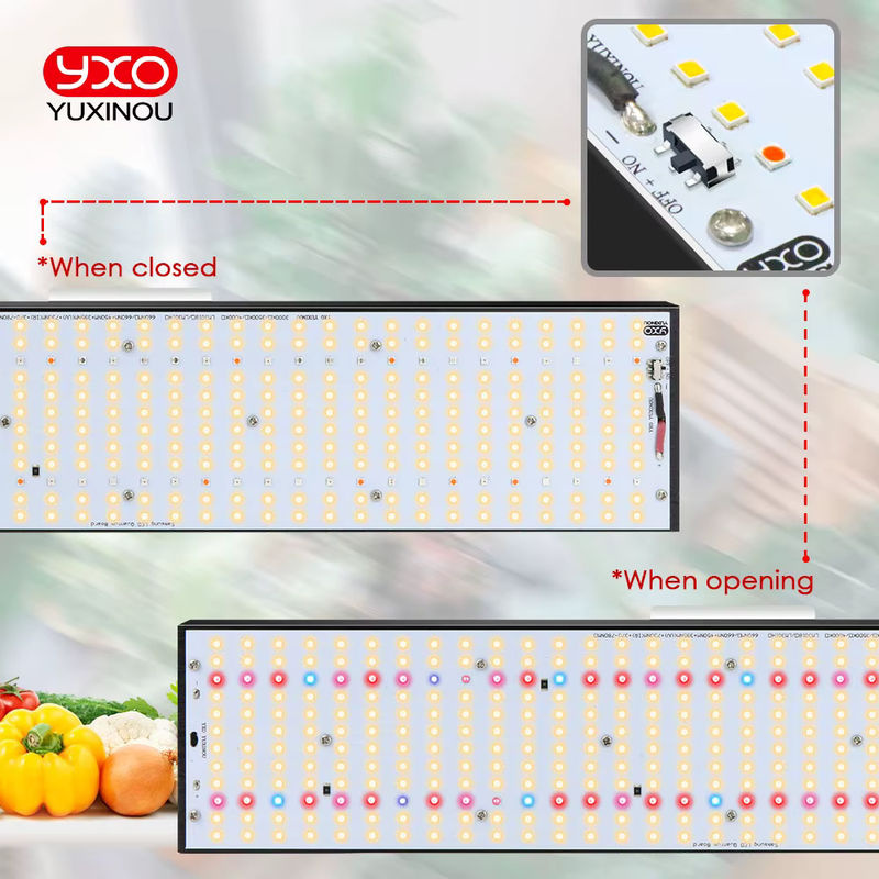 YXO YUXINOU LED-Pflanzenlampe mit Samsung LM301H für Hydroponik, Growbox und Gewächshaus zur Unterstützung von Wachstum und Blüte - Bild 5