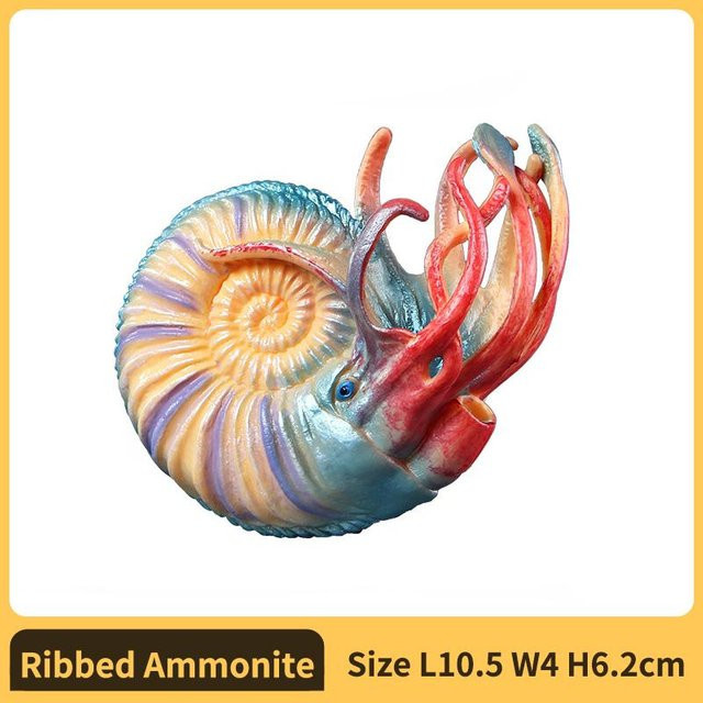 Yiran toy 1 Nautilus Ammonit Figur Plastikmodell ab 18 Monaten - Bild 1