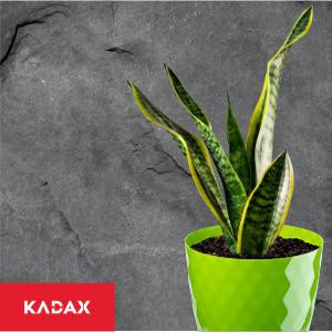 KADAX Blumentopf Set mit Untersetzer, Grün, 3 Stück, Durchmesser: 16 cm - Bild 2