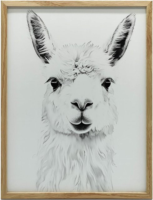 Subtile Lama Wandbild von iKable mit Holzrahmen in Heller Eiche, B/H: 50 x 70 cm - Bild 1