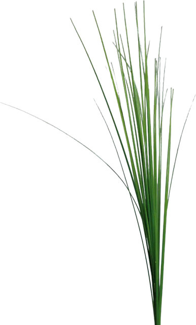 Aplanta Künstliches Isolepsis Gras Arianna, Höhe: 115 cm - Bild 1