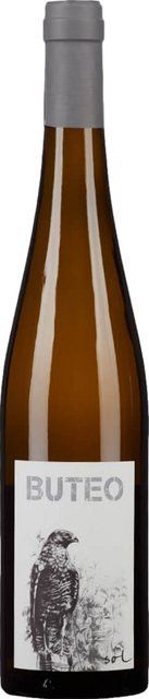 Gindl Buteo Weißwein Grüner Veltliner, 2020, Niederösterreich, trocken, 0,75 l - Bild 1